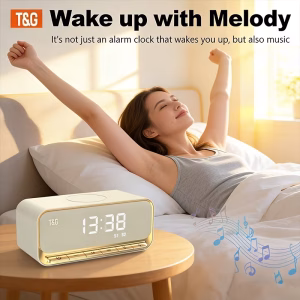 Enceinte Sans Fil TG461