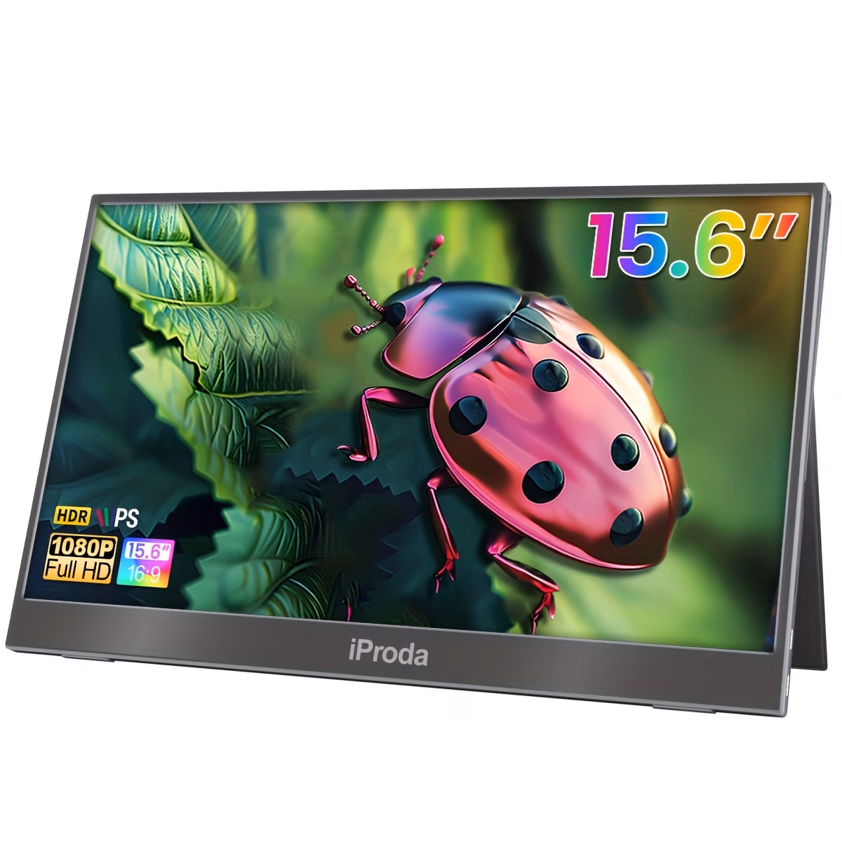 Écran Portable Minitv 15,6 pouces